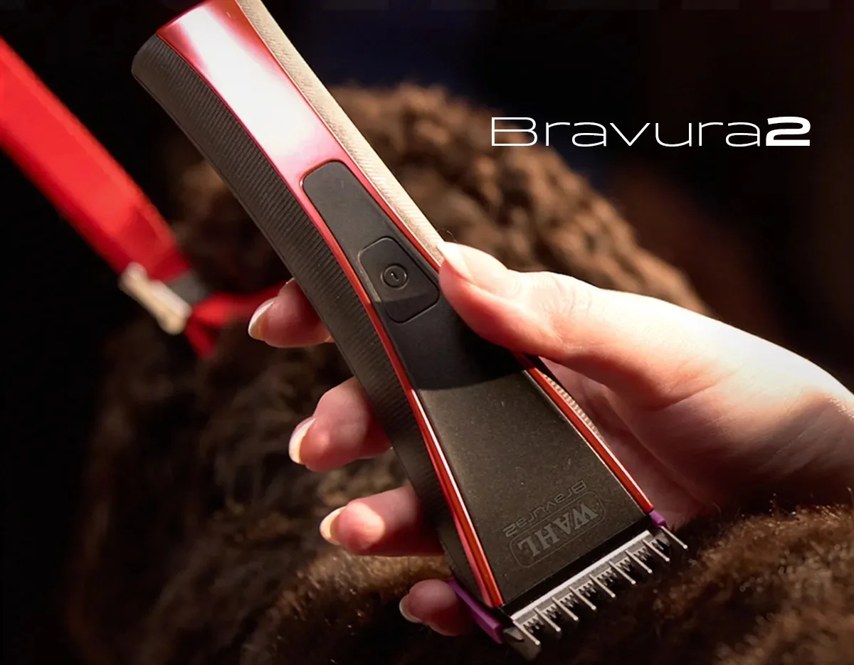 All New Bravura2